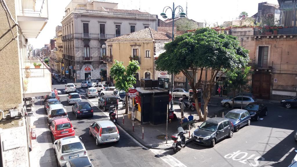 I Mici Di Emy Catania